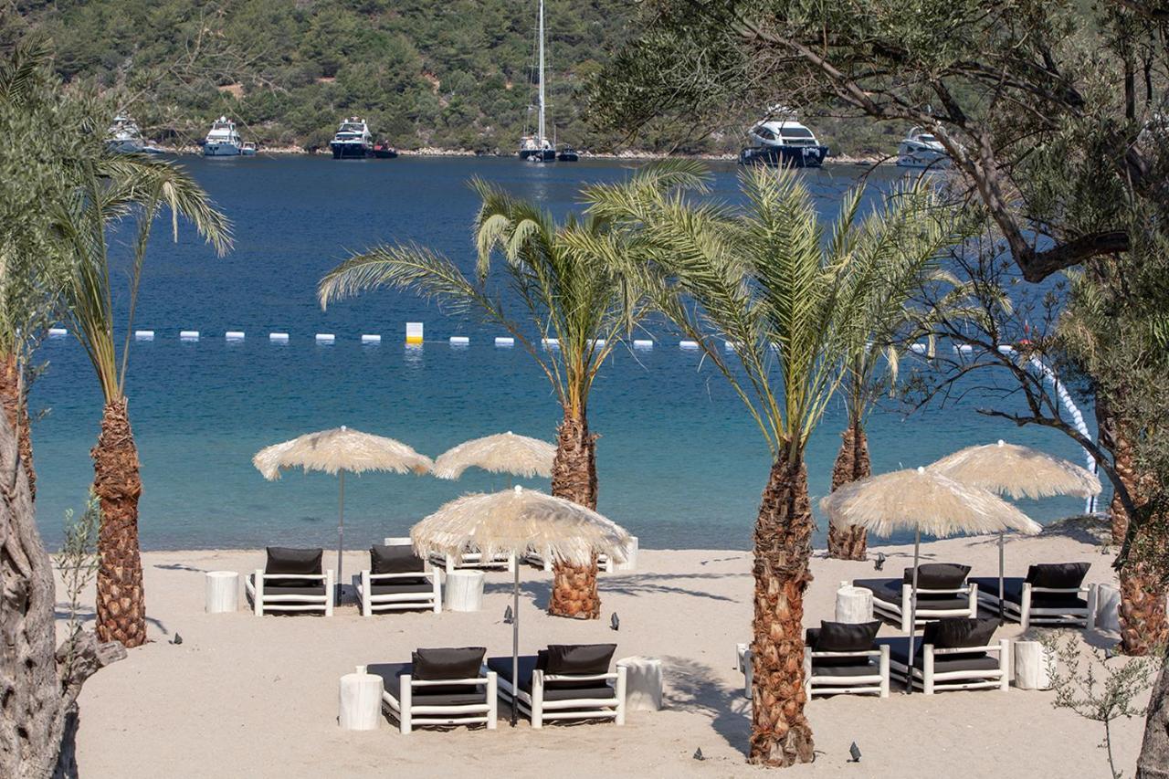 Akana Cennet Koyu Bodrum Гёльтюрбюку Экстерьер фото